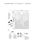 Dynamic Point to Point Mobile Network System and Method diagram and image