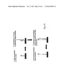 METHOD FOR PAIRWISE SEQUENCING OF TARGET POLYNUCLEOTIDES diagram and image