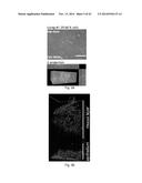 POLYPEPTIDES TARGETING GLYCOSYLATED MUC2 PROTEINS, METHODS OF SYNTHESIS,     THEIR NUCLEIC ACIDS AND USES THEREOF diagram and image