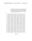 POLYPEPTIDES TARGETING GLYCOSYLATED MUC2 PROTEINS, METHODS OF SYNTHESIS,     THEIR NUCLEIC ACIDS AND USES THEREOF diagram and image