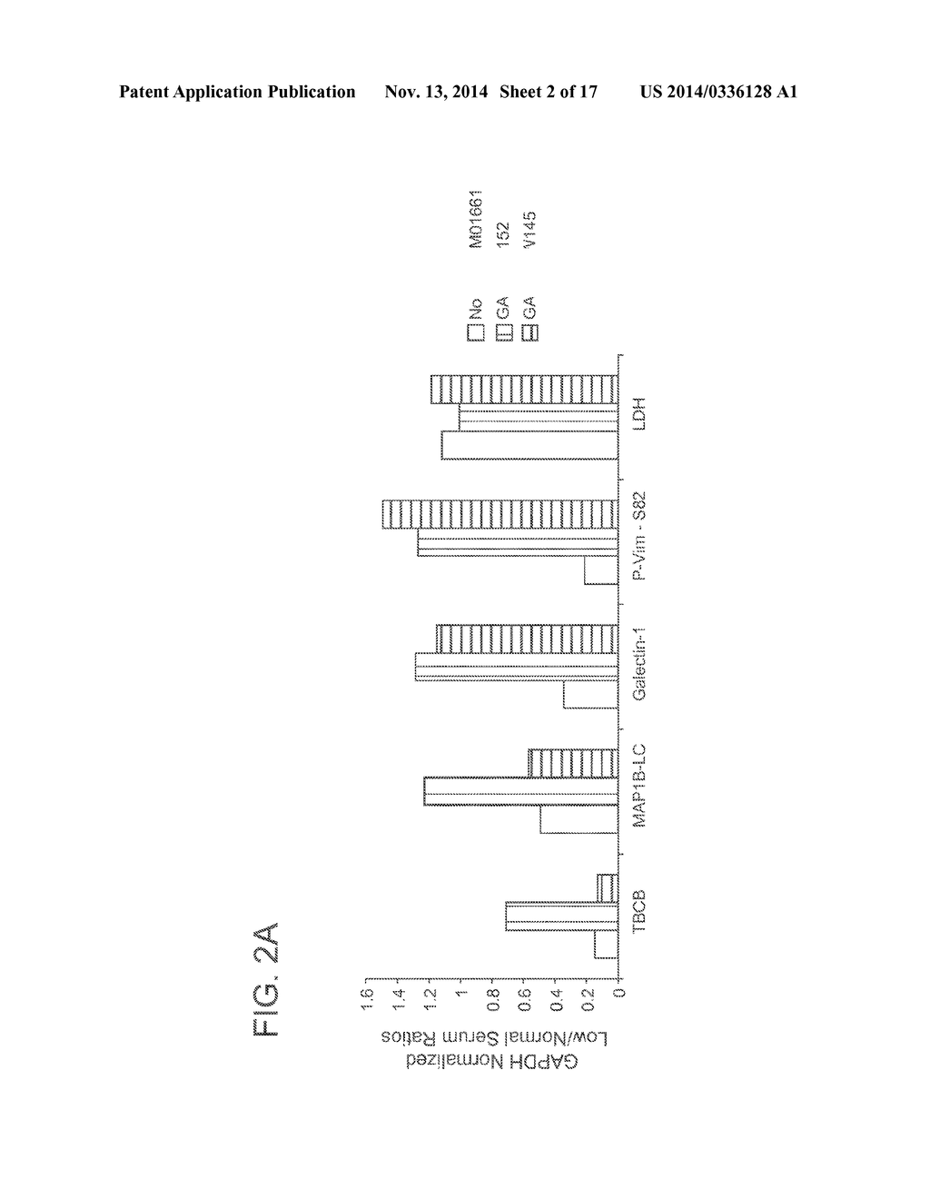 GIGAXONIN FUSION PROTEIN AND METHODS FOR TREATING GIANT AXONAL NEUROPATHY - diagram, schematic, and image 03