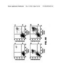 TARGETING EN2, PAX2, AND/OR DEFB1 FOR TREATMENT OF PROSTATE CONDITIONS diagram and image