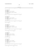 TARGETING EN2, PAX2, AND/OR DEFB1 FOR TREATMENT OF PROSTATE CONDITIONS diagram and image