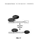 TARGETING EN2, PAX2, AND/OR DEFB1 FOR TREATMENT OF PROSTATE CONDITIONS diagram and image