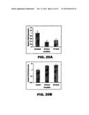 TARGETING EN2, PAX2, AND/OR DEFB1 FOR TREATMENT OF PROSTATE CONDITIONS diagram and image