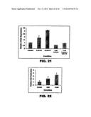 TARGETING EN2, PAX2, AND/OR DEFB1 FOR TREATMENT OF PROSTATE CONDITIONS diagram and image