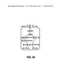 TARGETING EN2, PAX2, AND/OR DEFB1 FOR TREATMENT OF PROSTATE CONDITIONS diagram and image