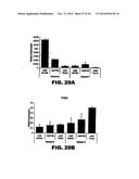 TARGETING EN2, PAX2, AND/OR DEFB1 FOR TREATMENT OF PROSTATE CONDITIONS diagram and image