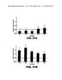 TARGETING EN2, PAX2, AND/OR DEFB1 FOR TREATMENT OF PROSTATE CONDITIONS diagram and image