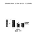 TARGETING EN2, PAX2, AND/OR DEFB1 FOR TREATMENT OF PROSTATE CONDITIONS diagram and image