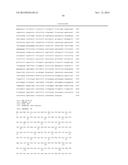 TARGETING EN2, PAX2, AND/OR DEFB1 FOR TREATMENT OF PROSTATE CONDITIONS diagram and image