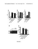 Method For Treatment Of Macular Degeneration By Modulating P2Y12 or P2X7     Receptors diagram and image