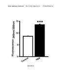 Method For Treatment Of Macular Degeneration By Modulating P2Y12 or P2X7     Receptors diagram and image