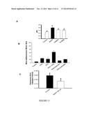 Method For Treatment Of Macular Degeneration By Modulating P2Y12 or P2X7     Receptors diagram and image