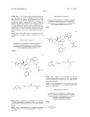 SUBSTITUTED PIPERIDINES THAT INCREASE p53 ACTIVITY AND THE USES THEREOF diagram and image