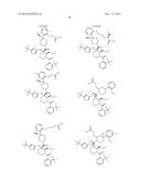 SUBSTITUTED PIPERIDINES THAT INCREASE p53 ACTIVITY AND THE USES THEREOF diagram and image