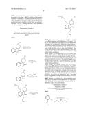 SUBSTITUTED PIPERIDINES THAT INCREASE p53 ACTIVITY AND THE USES THEREOF diagram and image