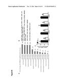 METHOD OF TREATING HYPERLIPIDEMIA AND ATHEROSCLEROSIS WITH MIR-30C diagram and image