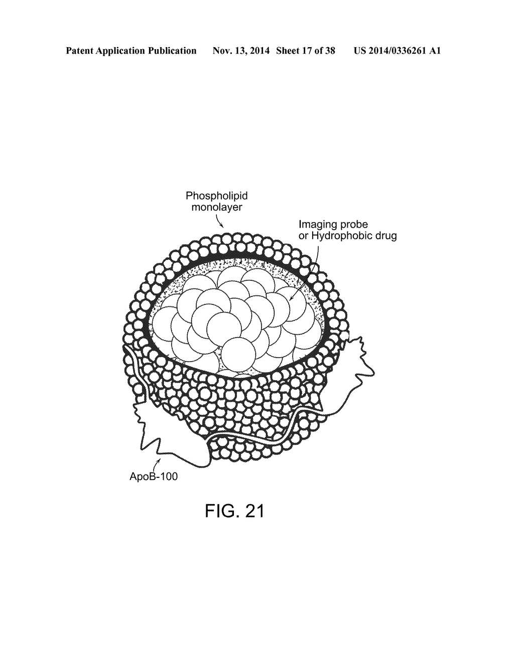 METHODS FOR DETERMINING AGGRESSIVENESS OF A CANCER AND TREATMENT THEREOF - diagram, schematic, and image 18