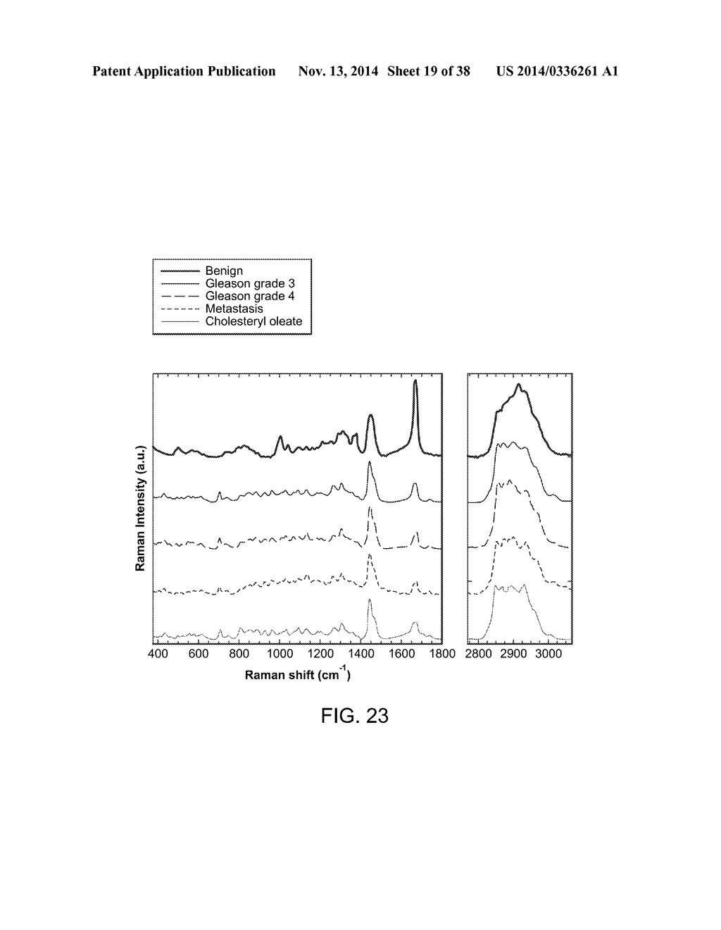 METHODS FOR DETERMINING AGGRESSIVENESS OF A CANCER AND TREATMENT THEREOF - diagram, schematic, and image 20