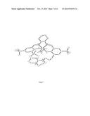 SALEN COMPLEXES WITH DIANIONIC COUNTERIONS diagram and image