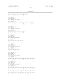 ANTIBODIES AGAINST HUMAN CSF-1R AND USES THEREOF diagram and image