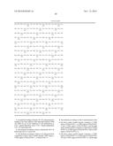 ANTIBODIES AGAINST HUMAN CSF-1R AND USES THEREOF diagram and image