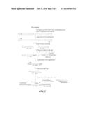 SIRNA MOLECULE FOR INHIBITING GROWTH OF MELANIN AND APPLICATION THEREOF diagram and image