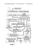 Production of Fuel from Chemicals Derived from Biomass diagram and image