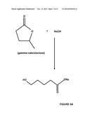 Production of Fuel from Chemicals Derived from Biomass diagram and image