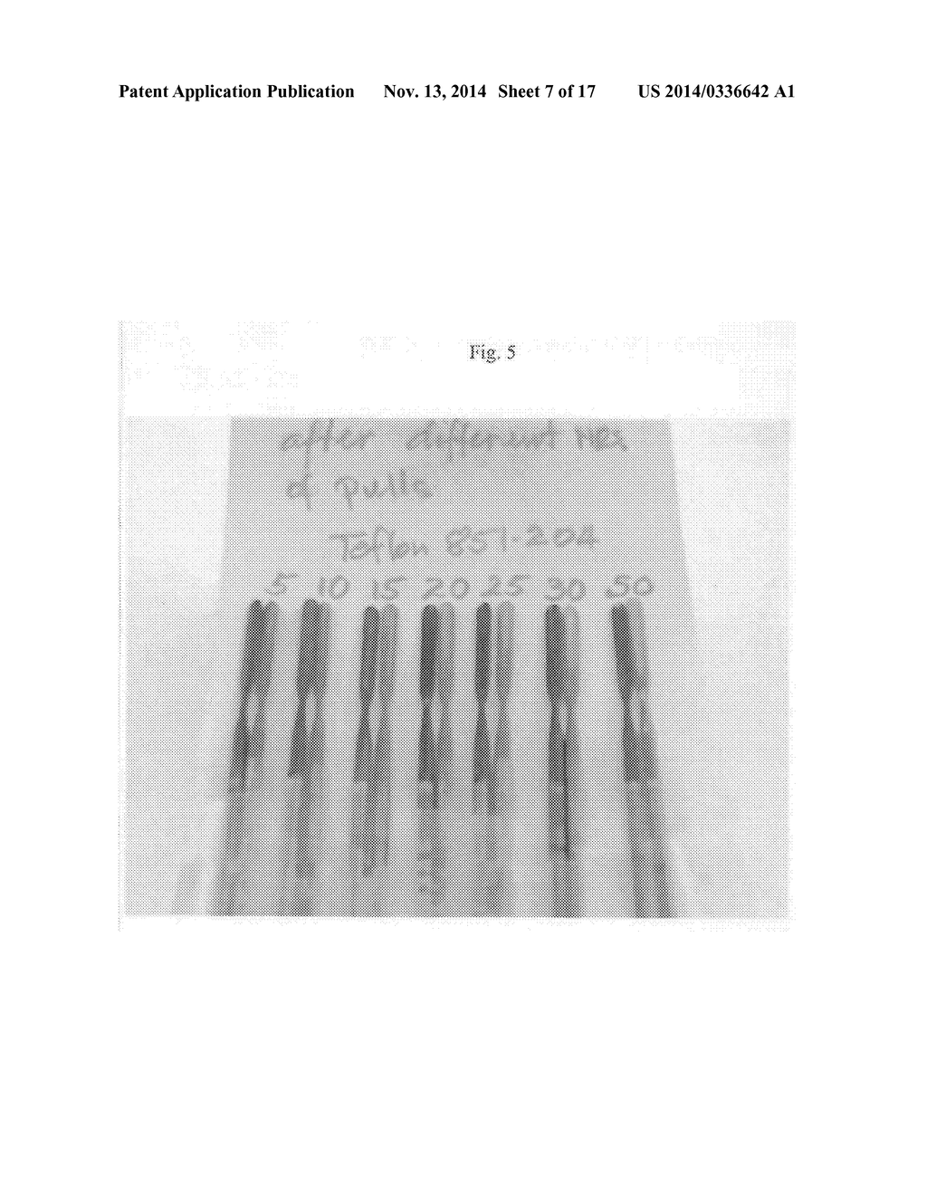 ELECTROSURGICAL ELECTRODE AND METHOD OF MANUFACTURING SAME - diagram, schematic, and image 08