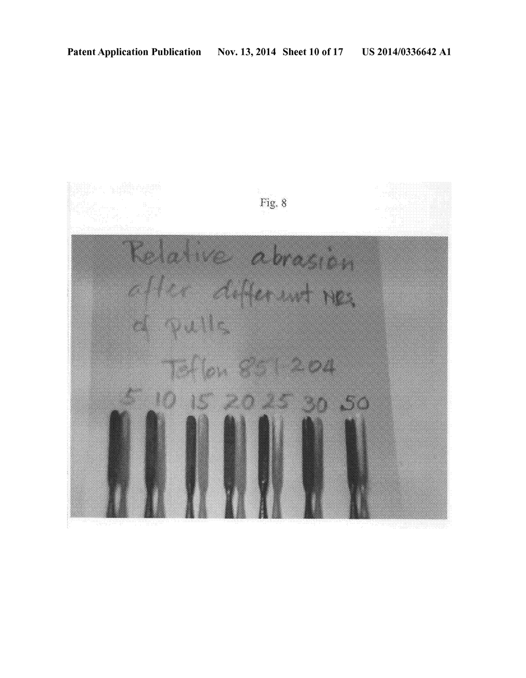 ELECTROSURGICAL ELECTRODE AND METHOD OF MANUFACTURING SAME - diagram, schematic, and image 11