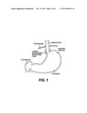 TISSUE FASTENING DEVICES AND PROCESSES THAT PROMOTE TISSUE ADHESION diagram and image