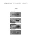 COMPRESSED FIBER STRUCTURAL MATERIAL AND METHOD FOR PRODUCING THE SAME diagram and image