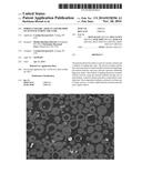 POROUS CERAMIC ARTICLE AND METHOD OF MANUFACTURING THE SAME diagram and image