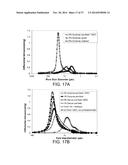 POROUS CERAMIC ARTICLE AND METHOD OF MANUFACTURING THE SAME diagram and image