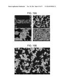 POROUS CERAMIC ARTICLE AND METHOD OF MANUFACTURING THE SAME diagram and image