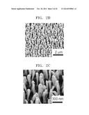 MEMBER FOR FLEXIBLE ELEMENT AND MANUFACTURING METHOD THEREOF diagram and image