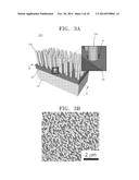 MEMBER FOR FLEXIBLE ELEMENT AND MANUFACTURING METHOD THEREOF diagram and image