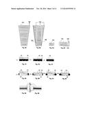 AERIAL VEHICLE AND METHOD OF FLIGHT diagram and image