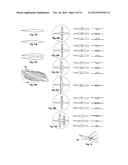 AERIAL VEHICLE AND METHOD OF FLIGHT diagram and image