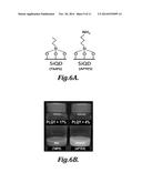 SURFACE-PASSIVATED SILICON QUANTUM DOT PHOSPHORS diagram and image