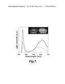 SURFACE-PASSIVATED SILICON QUANTUM DOT PHOSPHORS diagram and image