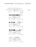 POLARIZED LIGHT DETECTING DEVICE AND FABRICATION METHODS OF THE SAME diagram and image