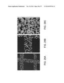POROUS CERAMIC ARTICLE AND METHOD OF MANUFACTURING THE SAME diagram and image