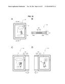 DISPLAY DEVICE diagram and image