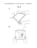 DISPLAY DEVICE diagram and image