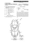 OBJECTS FABRICATED WITH INTEGRAL AND CONTOURED REAR PROJECTION SUBSTRATES diagram and image