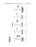 IMAGING LENS AND IMAGING APPARATUS diagram and image