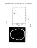 COMPOSITE IMAGE GENERATION AND INTERACTIVE DISPLAY TECHNOLOGY diagram and image